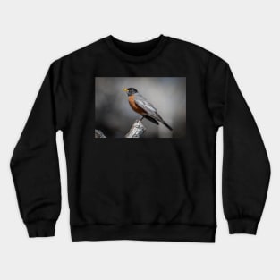 American Robin Crewneck Sweatshirt